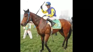 Alaindair with Y S Srinath up The Indian Derby 2014