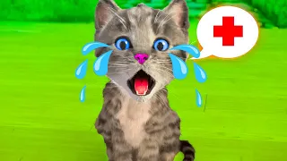 SPECIAL LITTLE KITTEN ADVENTURE - LONG EDUCATIONAL VIDEO WITH CUTE CAT AND KITTEN