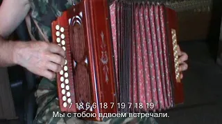 Одинокая ветка сирени с нотами в цифрах