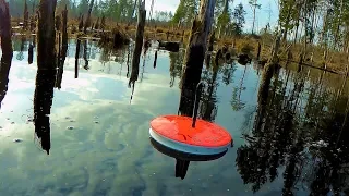 ЩУКА НА КРУЖКИ В КОРЯЖНИКЕ.ЩУКА РВЁТ ЛЕСКУ И ТОПИТ КРУЖКИ.