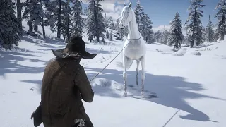 RDR 2 World's expensive horse catched by Arthur