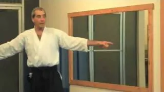 Moonsensei:  Aikido, Turning Fear  into Power