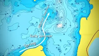 Walleye Movement Explained (Map Example)