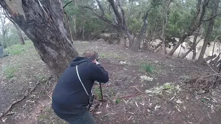 Pig hunting