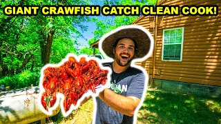 Trapping CRAWFISH at the ABANDONED RANCH!!! (Catch Clean Cook)