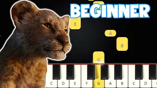 Can You Feel The Love Tonight - The Lion King | Beginner Piano Tutorial | Easy Piano