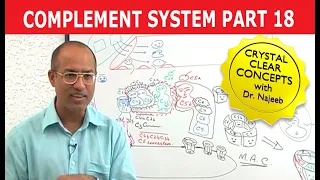 Complement System - Immunology - Part 18/18