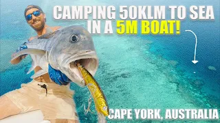 CAMPING ON THE BOAT & Eating what we catch | SPEARFISHING the GREAT BARRIER REEF, AUSTRALIA