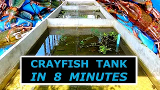 How To Build a Crayfish Tank (Cheaply)