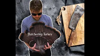 How to butcher a Wild Turkey