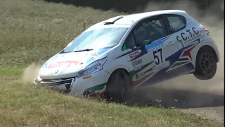 Rally di Salsomaggiore 2020 - Day 1 CRASHES & MIRACLE SAVES