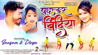 पाउडर बिंदिया| New Nagpuri Video 2023| Singer Narayan Nayak and Seema| Ft Sangam and Divya