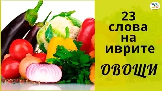 23 слова на иврите ٭ ГРИБЫ, ЛУК, ОВОЩИ на иврите ٭ Изучение иврита