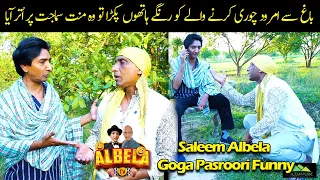 Goga Pasroori Amrood Chor | Saleem Albela nay Pakkar Lia Funny Video