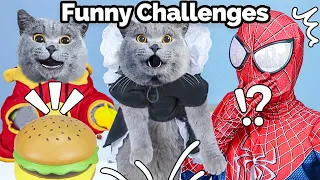 Don't Miss Oscar Try Exciting Gaming Challenges!🤣 | Oscar‘s Funny World | New Funny Cat Videos 2023