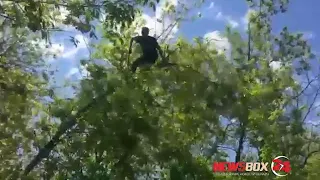 Житель Владивостока поймал «глюк» и спрыгнул с 6-метрового дерева