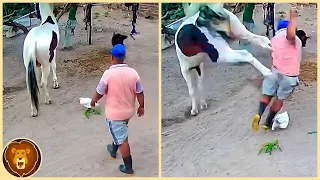 Si Estos Momentos Animales No Hubieran Sido Grabados Por Una Cámara Nadie Los Creería