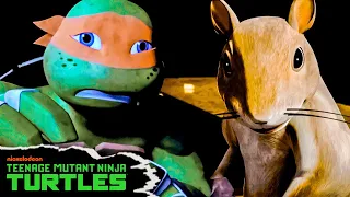 Ninja Turtles Attacked By Evil Squirrels from Space 🐿 | Full Episode in 5 Minutes | TMNT