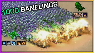 Can 1000 Banelings bust 5 Fenixes?【Daily StarCraft Brawl】