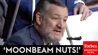 BREAKING NEWS: Ted Cruz Goes Nuclear On Dem Colleagues For Supporting 'Loons' Nominated For Bench