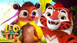 LEO and TIG 🦁 🐯 NEW 🌌 The Royal Aroma 🌹 Cartoon For Children 💚 Moolt Kids Toons Happy Bear