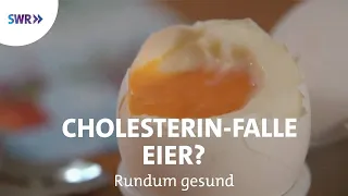 Zuviel Cholesterin durch Eier? | Rundum gesund