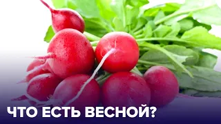 Что есть весной: 4 самых полезных СЕЗОННЫХ ПРОДУКТА!