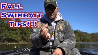 Fall Bass Fishing: Swimbait Tips!!!