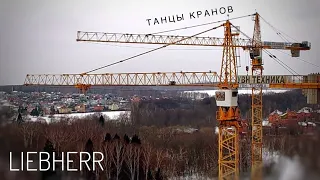 ТАНЦЫ КРАНОВ | Башенный кран LIEBHERR. Tower crane