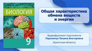 Пищеварительная система. Тема 32. Общая характеристика обмена веществ и энергии