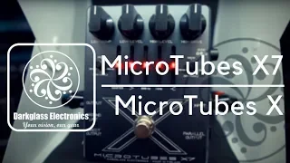 Darkglass Electronics MicroTubes X7/X | OUR NEW FAVOURITES!!!
