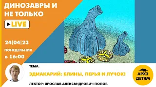 Занятие "Эдиакарий: блины, перья и лучок!" кружка "Динозавры и не только" с Ярославом Поповым