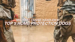 MILITARY CANINE HANDLER'S TOP 5 HOME PROTECTION DOGS