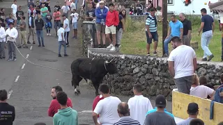 Ganadaria HF na Boa Hora