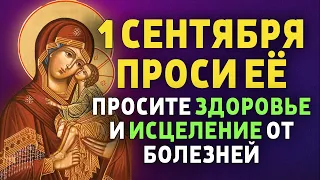 ВСЕГО 30 СЕКУНД! ПРОСИ ЗДОРОВЬЯ И ИСЦЕЛЕНИЯ СЕЙЧАС! 1 СЕНТЯБРЯ - День Донской иконы Божией Матери