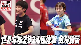 パリ五輪出場権がかかった熱い戦い！日本代表が汗を流す｜世界卓球2024団体戦