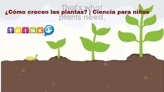 (Spanish) ¿Cómo crecen las plantas? | Ciencia para niños | ThinkJr