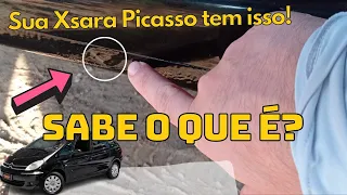 TEM XSARA PICASSO? IMPORTANTE SABER DISSO!!!