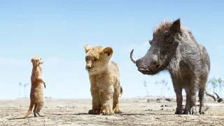 The Lion King 2019 - Best Scenes