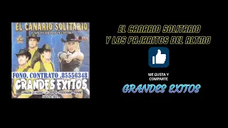 EL CANARIO SOLITARIO Y LOS PAJARITOS DEL RITMO / GRANDES EXITOS