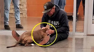 Мужчина встретил собаку и тут же заплакал — люди были поражены, узнав причину слез старика