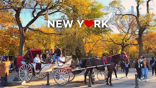 [4K]🇺🇸NYC Walk: Central Park🍁🍂 Beautiful Fall Foliage & Autumn Vibes / Oct. 29 2022