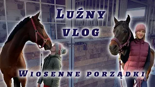 Vlog #11 Spędźcie ze mną cały dzień w stajni