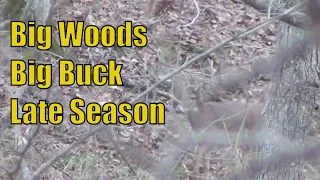 Indiana Public Land Late Season Deer Hunting (Bowhunting//Big Buck)