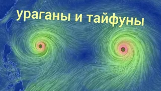 Почему в Тихом океане часто возникают ураганы и тайфуны?