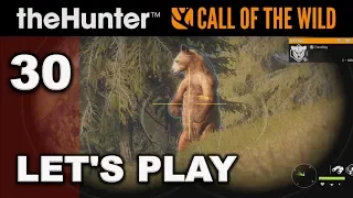 CALL OF THE WILD Hunting Game - Cinnamon Bear and other Missions