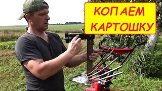 Копаем картофель мотоблоком, с помощью веерной картофелекопалки.