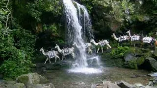 Mt. Le Conte Lodge Llama Train, Great Smoky Mountains