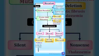 Mutation: Summary in one minute