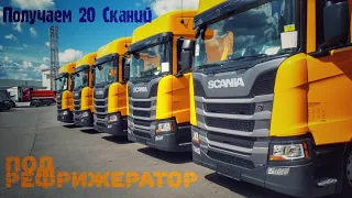 Получаем 20 автомобилей Scania R440 и 20 рефрижераторов  Schmitz.